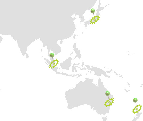 Distribution Asia & Australia